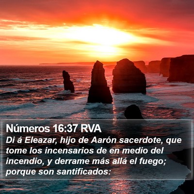 Números 16:37 RVA Bible Verse Image