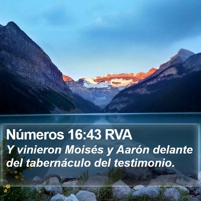 Números 16:43 RVA Bible Verse Image