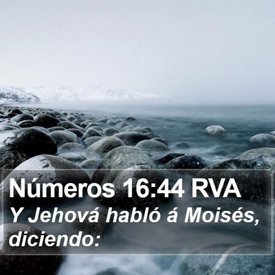 Números 16:44 RVA Bible Verse Image