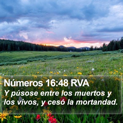 Números 16:48 RVA Bible Verse Image