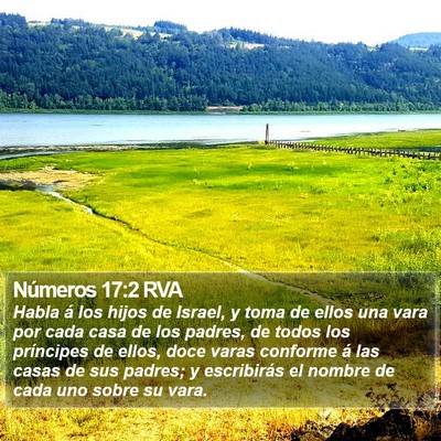 Números 17:2 RVA Bible Verse Image