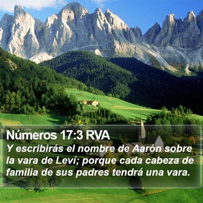 Números 17:3 RVA Bible Verse Image