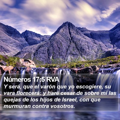 Números 17:5 RVA Bible Verse Image