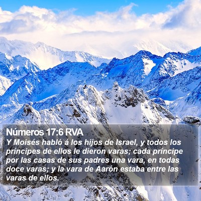 Números 17:6 RVA Bible Verse Image