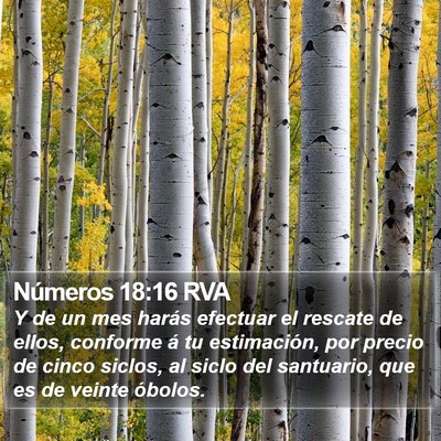 Números 18:16 RVA Bible Verse Image
