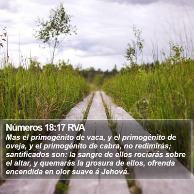 Números 18:17 RVA Bible Verse Image