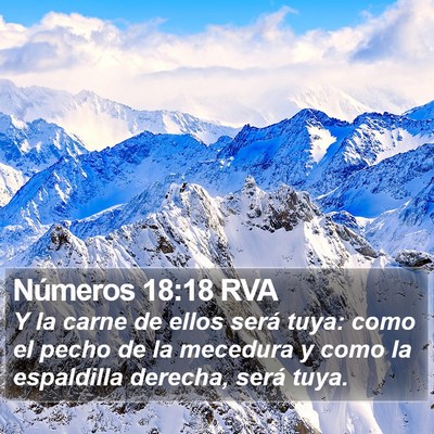 Números 18:18 RVA Bible Verse Image