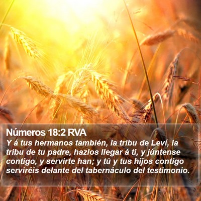 Números 18:2 RVA Bible Verse Image