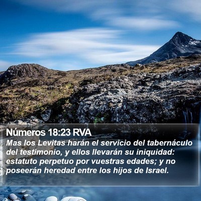 Números 18:23 RVA Bible Verse Image