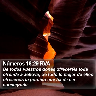 Números 18:29 RVA Bible Verse Image