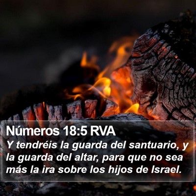 Números 18:5 RVA Bible Verse Image