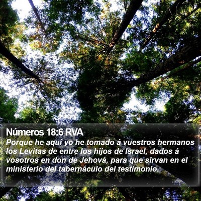 Números 18:6 RVA Bible Verse Image