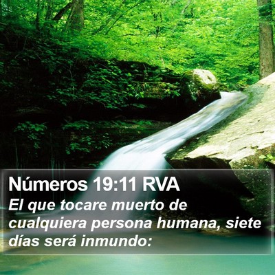Números 19:11 RVA Bible Verse Image