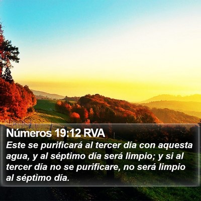 Números 19:12 RVA Bible Verse Image