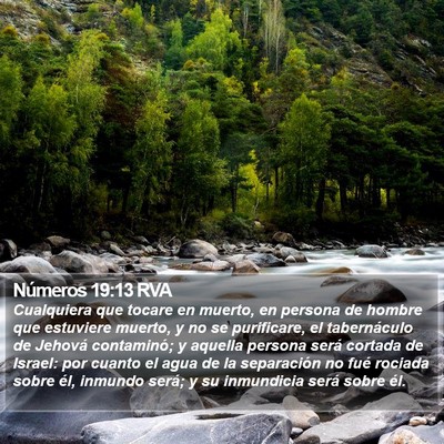 Números 19:13 RVA Bible Verse Image