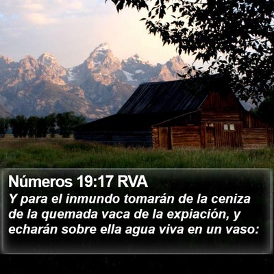 Números 19:17 RVA Bible Verse Image