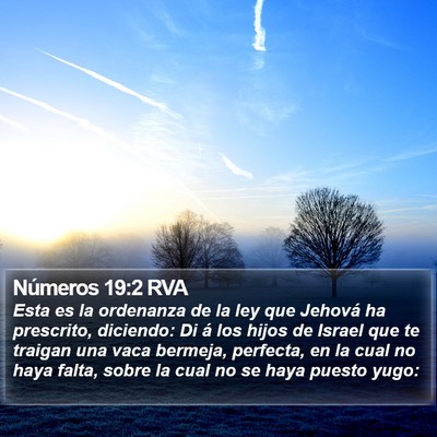 Números 19:2 RVA Bible Verse Image