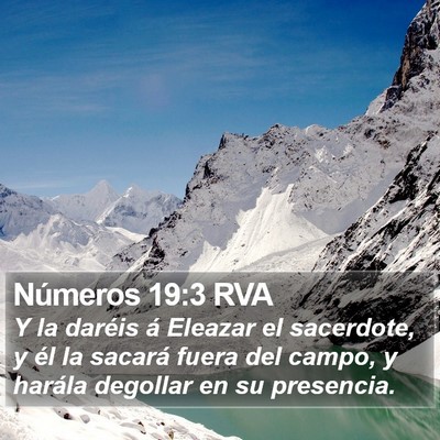 Números 19:3 RVA Bible Verse Image