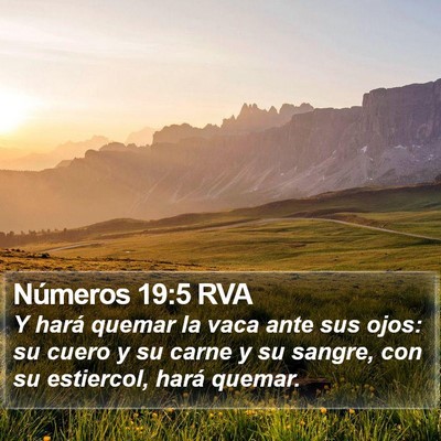 Números 19:5 RVA Bible Verse Image