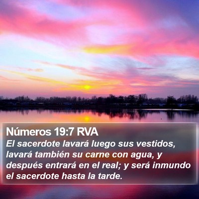 Números 19:7 RVA Bible Verse Image