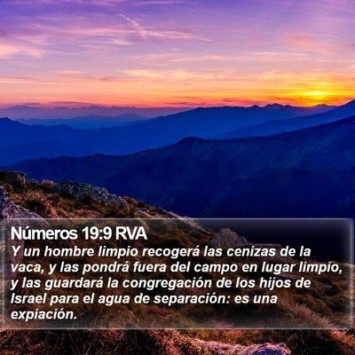Números 19:9 RVA Bible Verse Image
