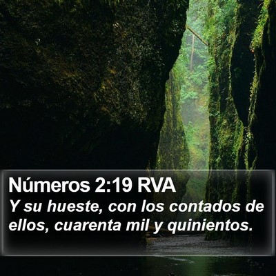 Números 2:19 RVA Bible Verse Image