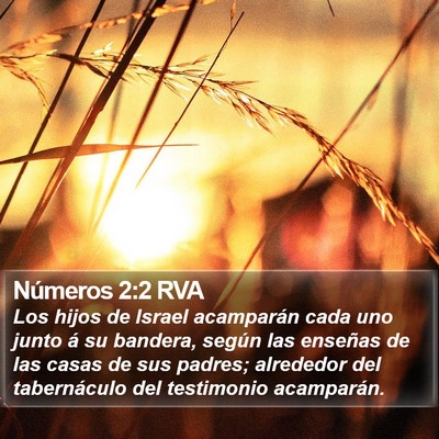 Números 2:2 RVA Bible Verse Image