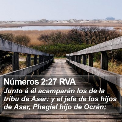 Números 2:27 RVA Bible Verse Image