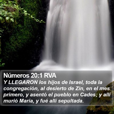 Números 20:1 RVA Bible Verse Image