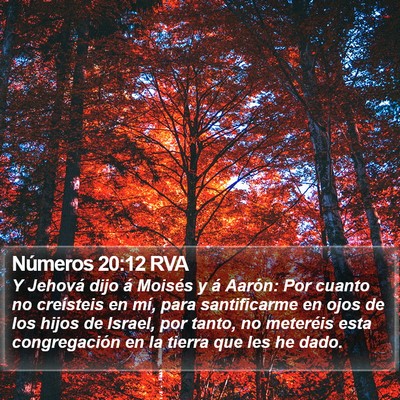 Números 20:12 RVA Bible Verse Image