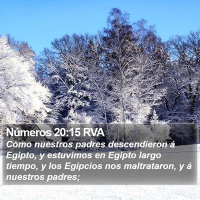 Números 20:15 RVA Bible Verse Image