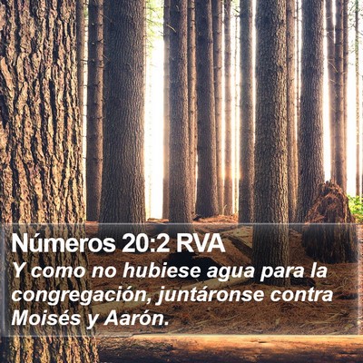Números 20:2 RVA Bible Verse Image