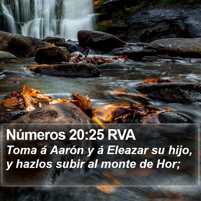 Números 20:25 RVA Bible Verse Image