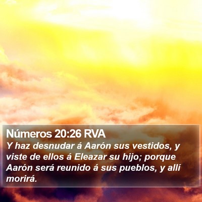 Números 20:26 RVA Bible Verse Image