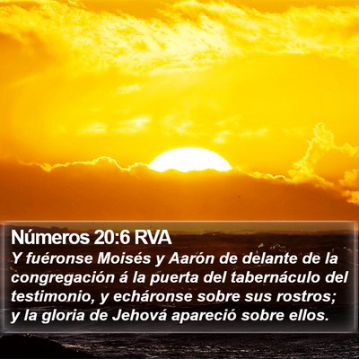 Números 20:6 RVA Bible Verse Image