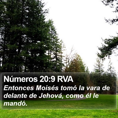 Números 20:9 RVA Bible Verse Image