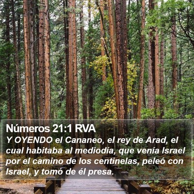 Números 21:1 RVA Bible Verse Image