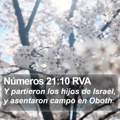 Números 21:10 RVA Bible Verse Image