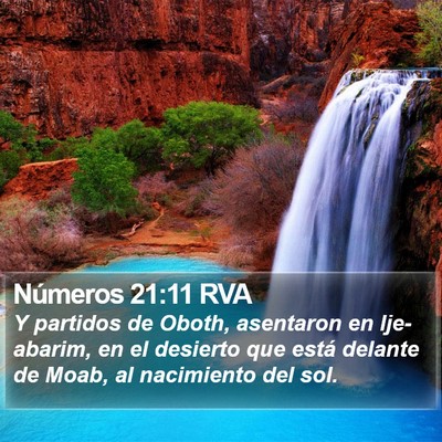 Números 21:11 RVA Bible Verse Image