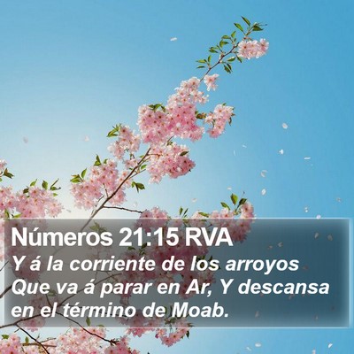 Números 21:15 RVA Bible Verse Image