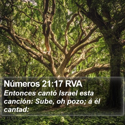 Números 21:17 RVA Bible Verse Image