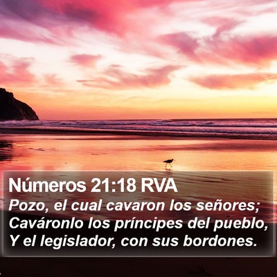 Números 21:18 RVA Bible Verse Image