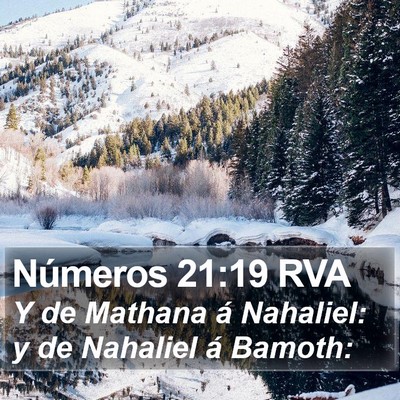 Números 21:19 RVA Bible Verse Image