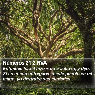 Números 21:2 RVA Bible Verse Image
