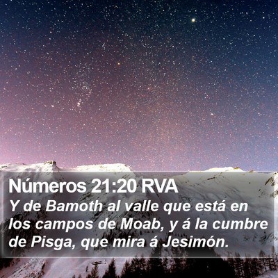 Números 21:20 RVA Bible Verse Image