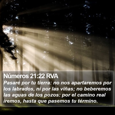 Números 21:22 RVA Bible Verse Image