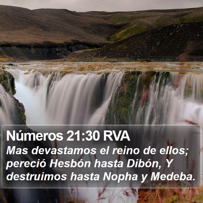 Números 21:30 RVA Bible Verse Image