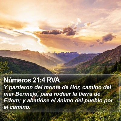 Números 21:4 RVA Bible Verse Image