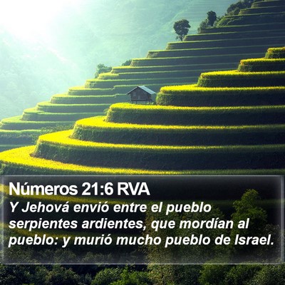 Números 21:6 RVA Bible Verse Image