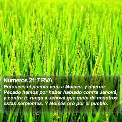 Números 21:7 RVA Bible Verse Image